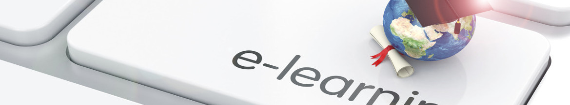 Knowledge Management and elearning